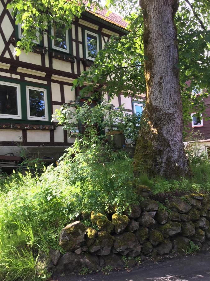Ferienwohnung Harzblick 1 Braunlage Eksteriør bilde